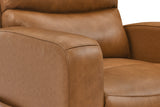 Hector Leather Power Lift Recliner Chair with Heat & Massage